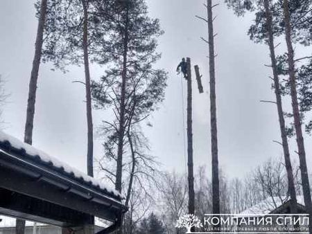 Демонтаж деревьев